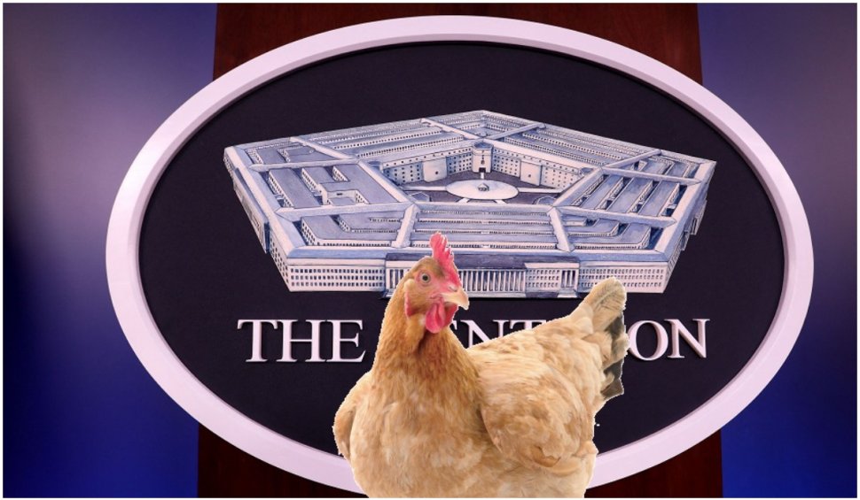 O găină a fost prinsă în timp ce încerca să se strecoare în Pentagon