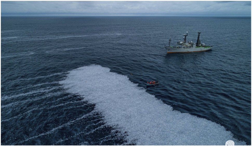 Peste 100.000 de pești morți, aruncați în Oceanul Atlantic. Autoritățile franceze au demarat o anchetă