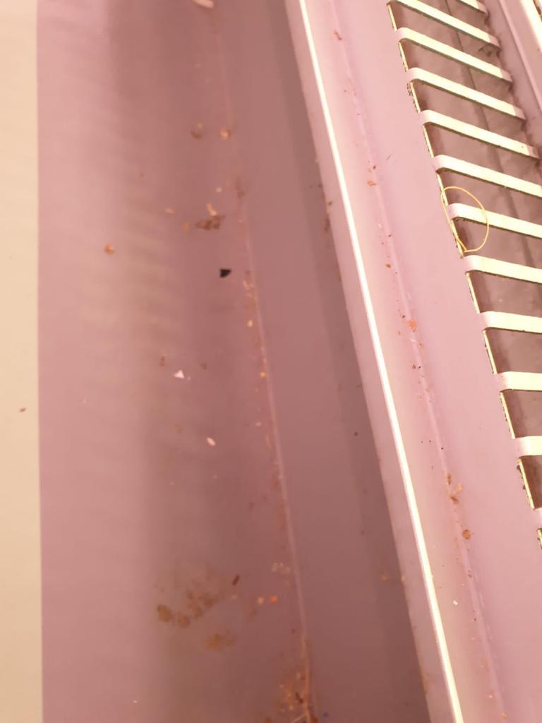 Alimente neconforme și mizerie, descoperite de inspectorii ANPC la magazine din Ilfov și București 749527