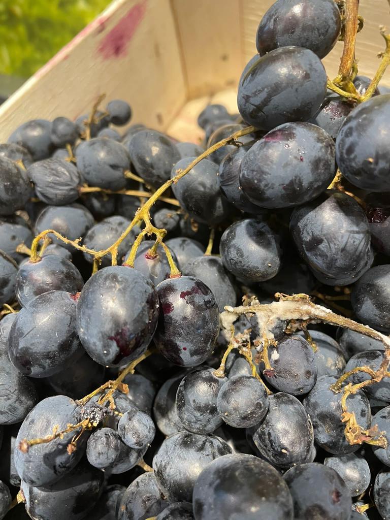 Alimente neconforme și mizerie, descoperite de inspectorii ANPC la magazine din Ilfov și București 749532