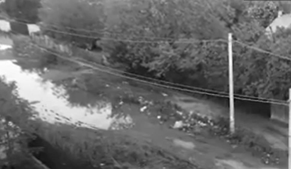 Cristian Popescu Piedone, mesaj pentru Nicuşor Dan: "M-am săturat de aroganţa, de letargia dvs. Lasaţi-mă să mă ocup de comunitatea care m-a ales" 749891