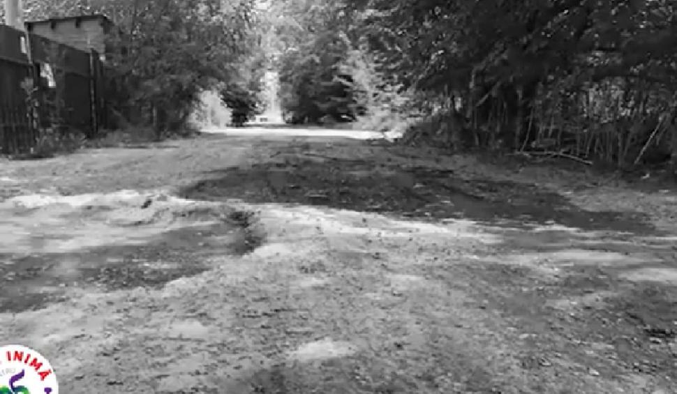 Cristian Popescu Piedone, mesaj pentru Nicuşor Dan: "M-am săturat de aroganţa, de letargia dvs. Lasaţi-mă să mă ocup de comunitatea care m-a ales" 749892