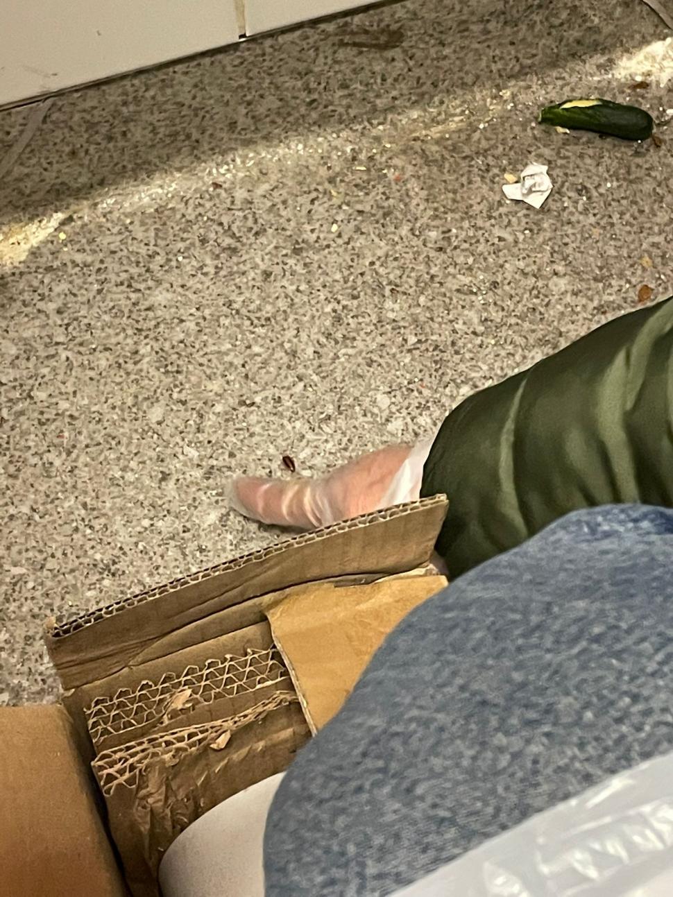 Gândaci, produse expirate și mizerie. Două supermarketuri din București au fost închise 749773