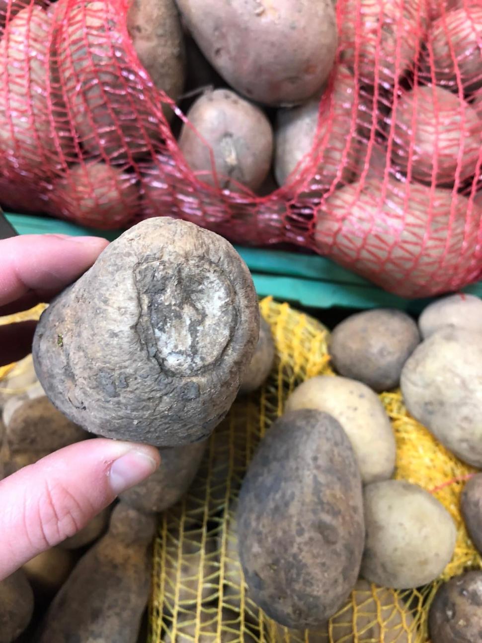 Gândaci, produse expirate și mizerie. Două supermarketuri din București au fost închise 749776