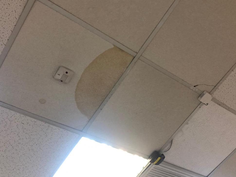 Gândaci, produse expirate și mizerie. Două supermarketuri din București au fost închise 749779