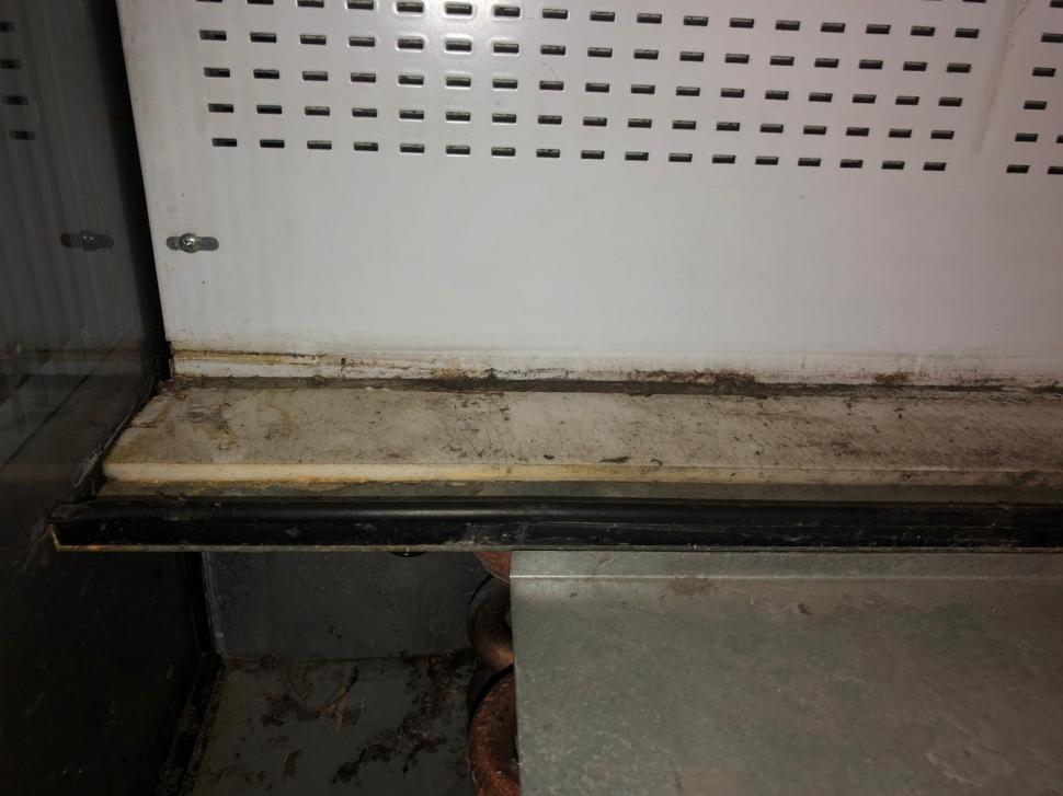 Gândaci, produse expirate și mizerie. Două supermarketuri din București au fost închise 749781