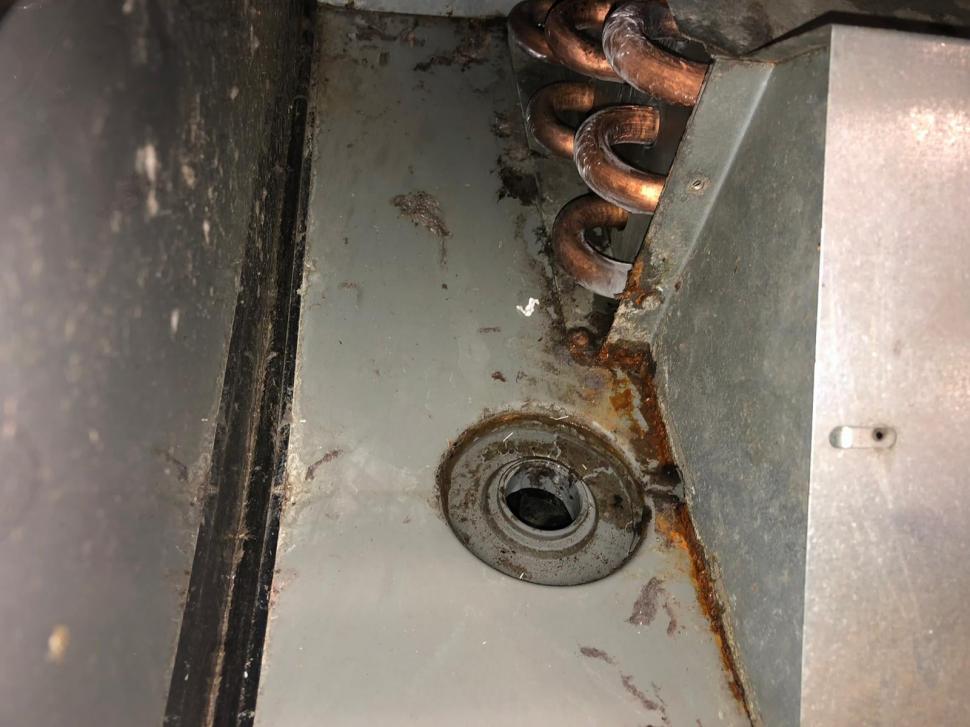 Gândaci, produse expirate și mizerie. Două supermarketuri din București au fost închise 749783