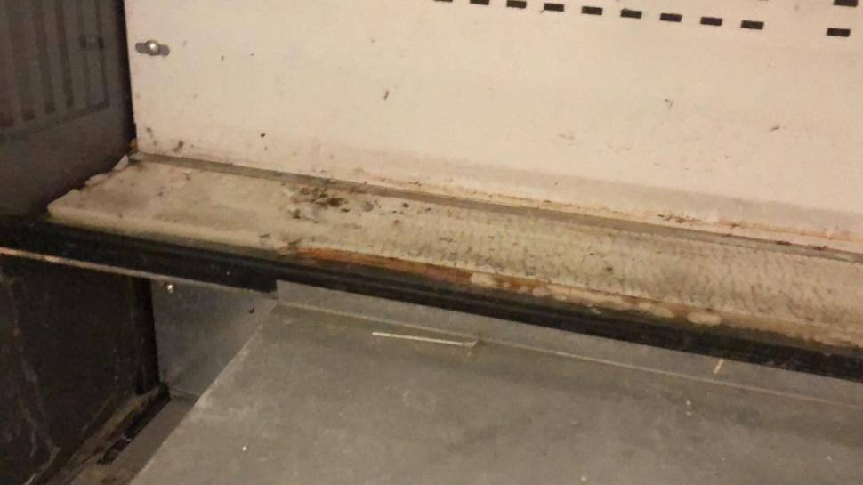 Gândaci, produse expirate și mizerie. Două supermarketuri din București au fost închise 749784