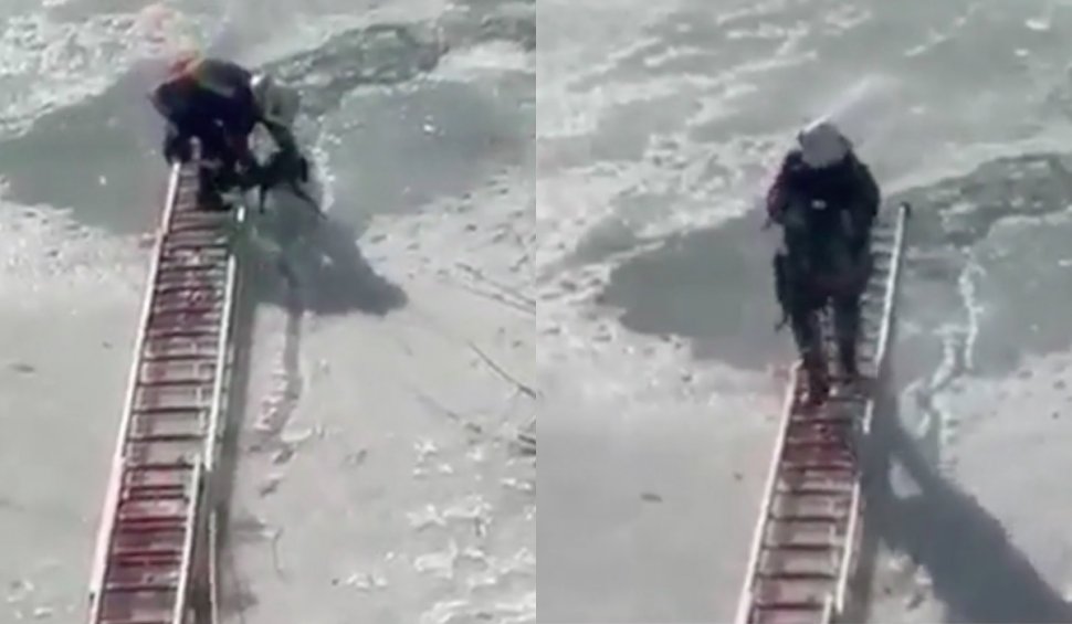Momentul emoționant în care un pompier salvează un cățel din apele înghețate ale râului Siret