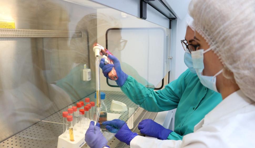 Anticorpii IgY anti-HPV împotriva tulpinilor cu risc cancerigen mare 748960