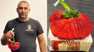 Așa arată cea mai mare căpşună din lume! Un fermier din Israel a intrat în Cartea Recordurilor 751529