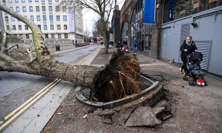 Imagini apocaliptice cu furtunile care au făcut ravagii în Europa. Vântul a depăşit 190 de kilometri pe oră 751653