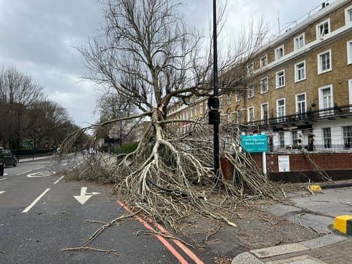 Imagini apocaliptice cu furtunile care au făcut ravagii în Europa. Vântul a depăşit 190 de kilometri pe oră 751655