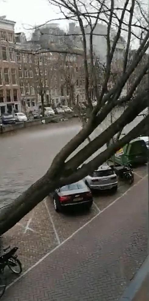 Imagini apocaliptice cu furtunile care au făcut ravagii în Europa. Vântul a depăşit 190 de kilometri pe oră 751656