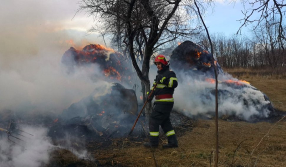 Incendiu la un adăpost de animale din Botoșani. Focul a fost pus intenţionat