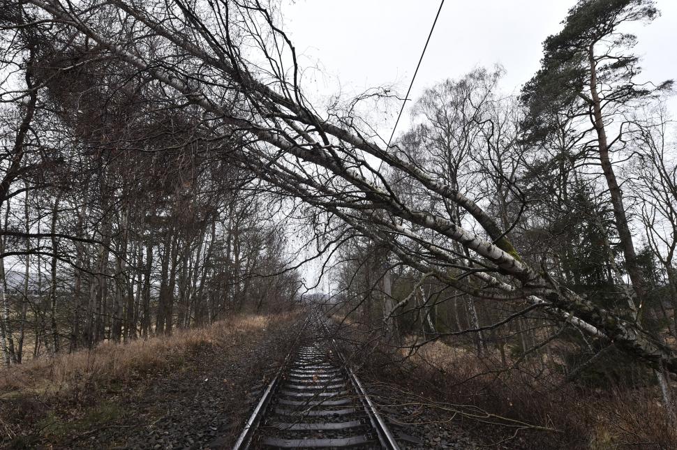 Cicloanele Zeynep și Eunice au devastat Europa și Marea Britanie. Cel puțin 14 oameni au murit. Meteorlogii avertizează: "Nu s-a terminat!" 751819