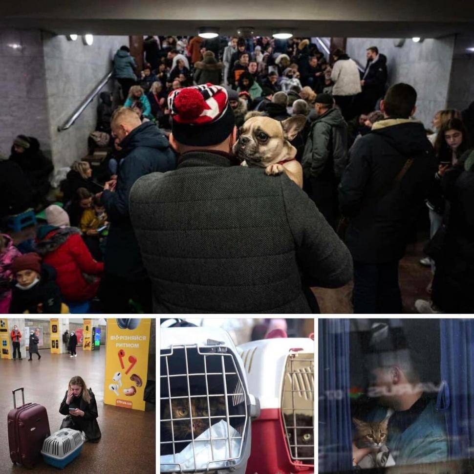 Imaginile durerii din Ucraina. Animalele de companie, lipite de stăpânii lor, la adăpost de bombe în stațiile de metrou 752868