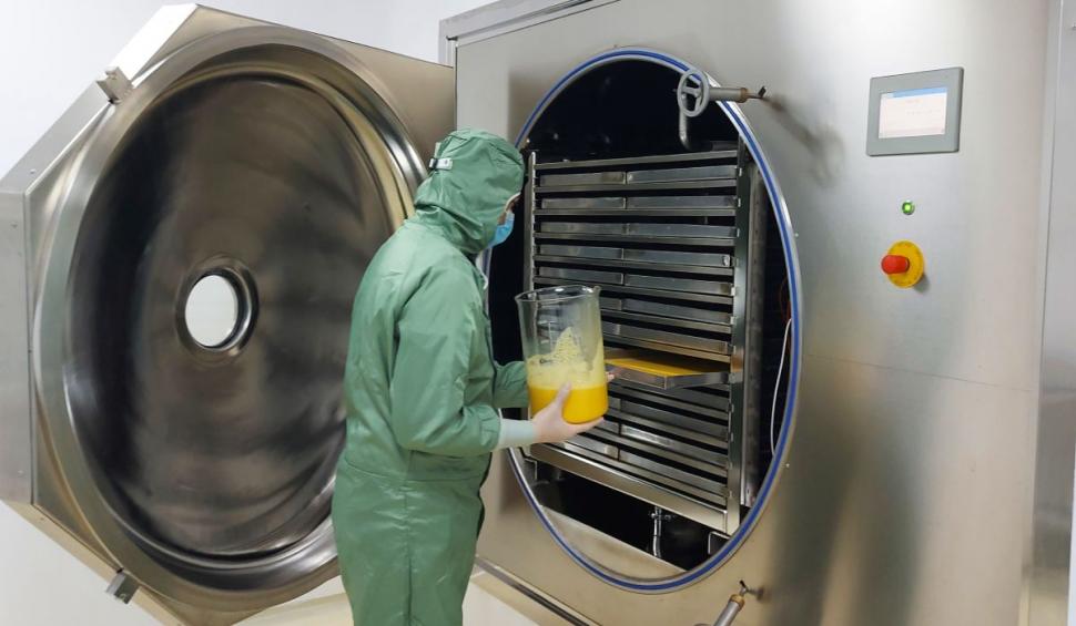 Imunoinstant, terapia complexă cu imunoglobuline Y specifice  împotriva acneei 753378