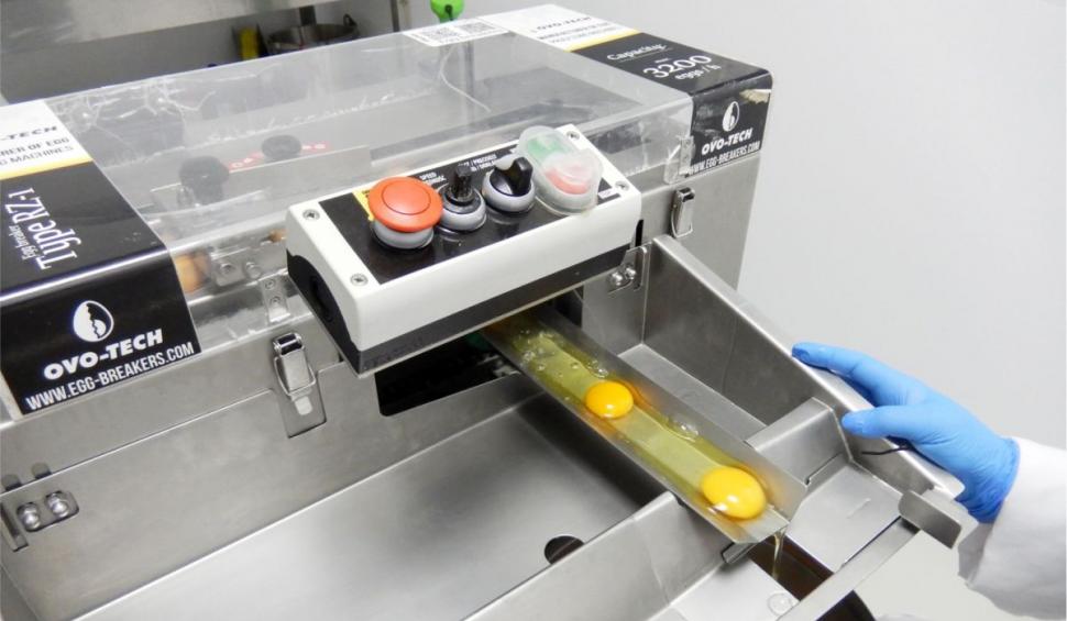 Imunoinstant, terapia complexă cu imunoglobuline Y specifice  împotriva acneei 753381