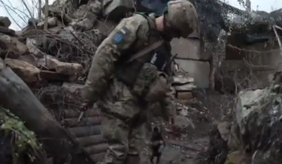El este Rambo, căţeluşul care le ridică moralul militarilor ucraineni pe frontul de luptă: "Este protectorul nostru" 753406