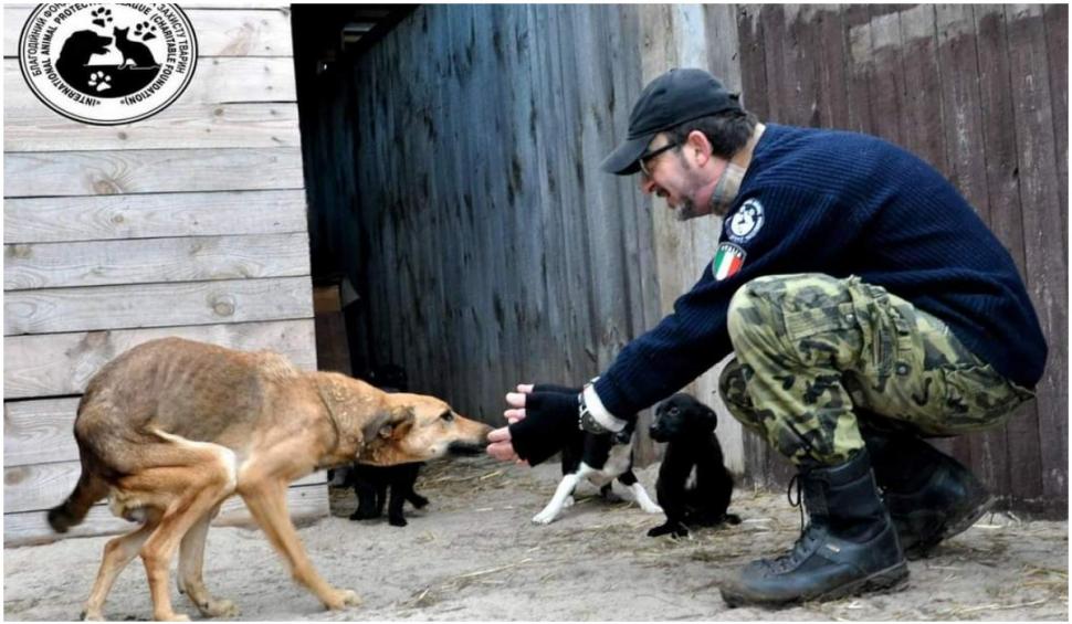 Eroul din Ucraina: Un bărbat refuză să-și părăsească cele 400 de animale de care are grijă: ”Mai bine mor decât să le las în urmă” 753829