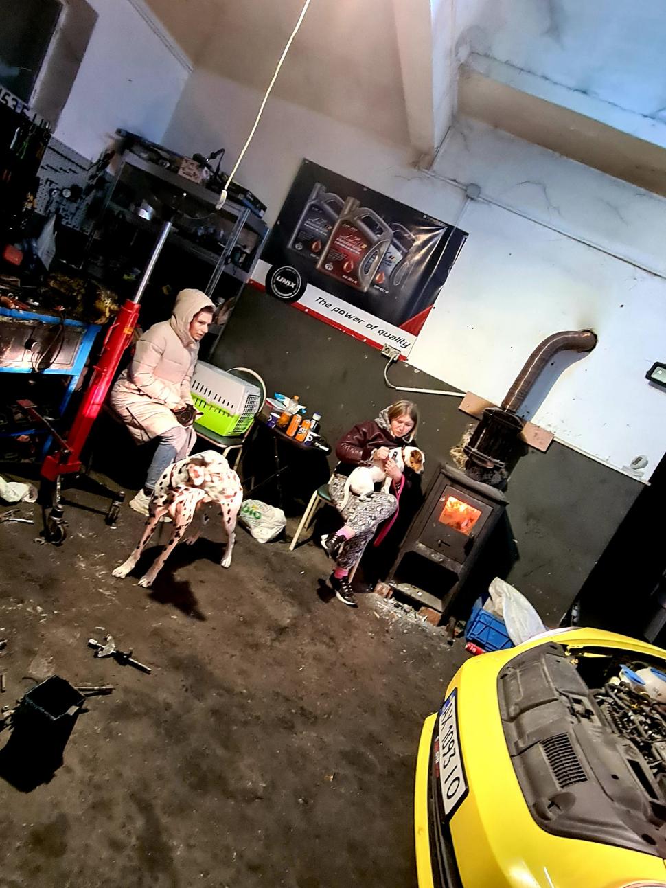 3 fete de 20 de ani au fugit din Ucraina și au rămas cu mașina stricată în drum. Aveau 2 câini, o pisică și un ghiozdan. Ce au făcut românii când le-au văzut 753901