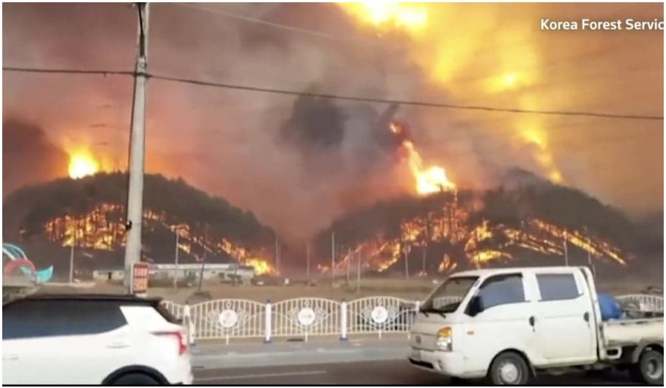 Alertă de dezastru natural în Coreea de Sud, după ce un incendiu masiv a izbucnit în apropierea unei centrale nucleare