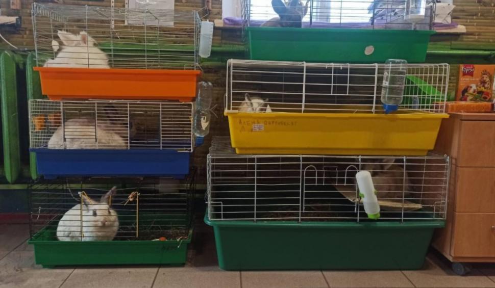 Grădina zoologică din Odesa adăposteşte animalele de companie ale ucrainenilor pe toată durata răboiului 754423