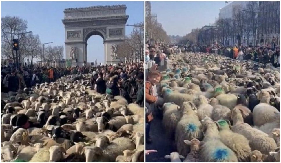 Aproximativ 2.000 de oi s-au plimbat pe bulevardul Champs-Élysées din Paris