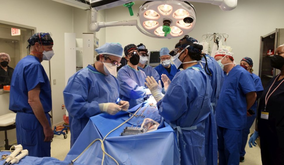 Capăt de drum pentru primul pacient din lume căruia i s-a transplantat inima unui porc