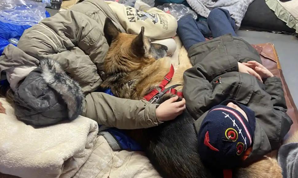 O femeie a călătorit 17 kilometri cu câinele său bătrân pe umăr: ”Nu l-am putut abandona” 755690