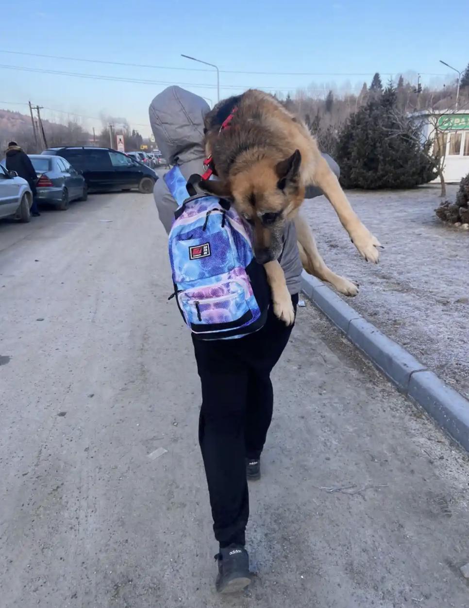 O femeie a călătorit 17 kilometri cu câinele său bătrân pe umăr: ”Nu l-am putut abandona” 755691