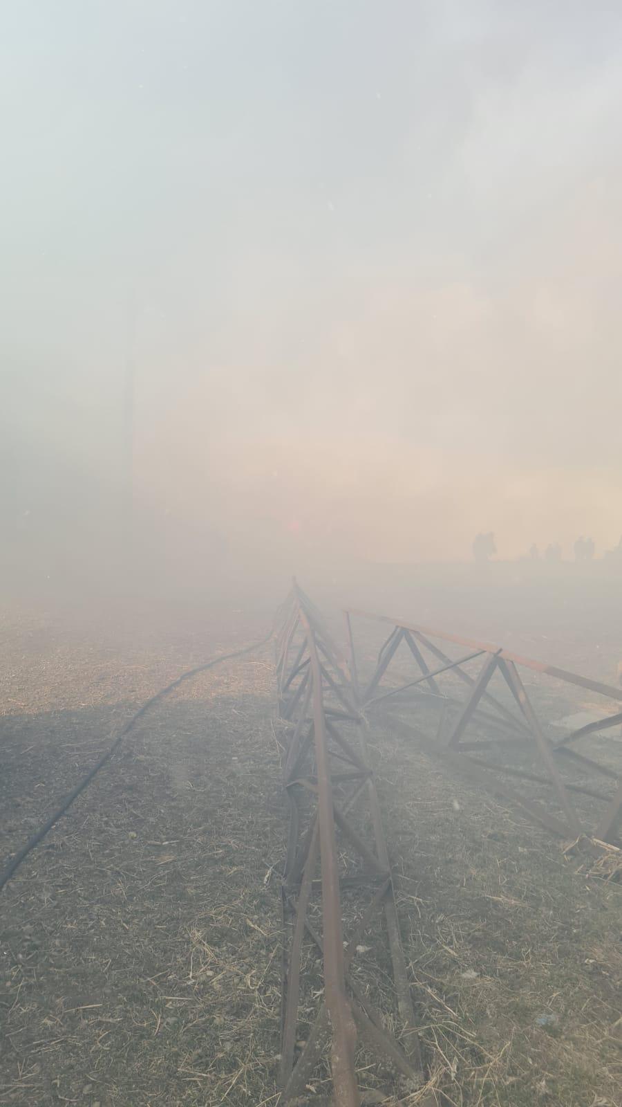 Incendiu puternic la un adăpost de animale din judeţul Botoşani 755897