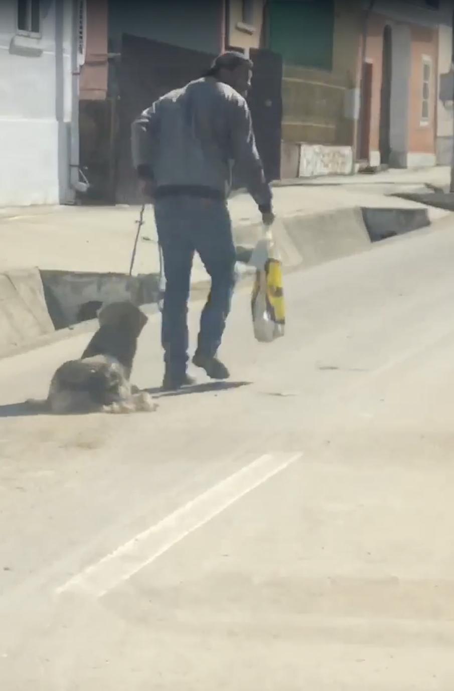 Un bărbat din Sibiu a aruncat 4 căței la tomberon, iar pe mama lor, la adăpost și s-a ales cu dosar penal 756279