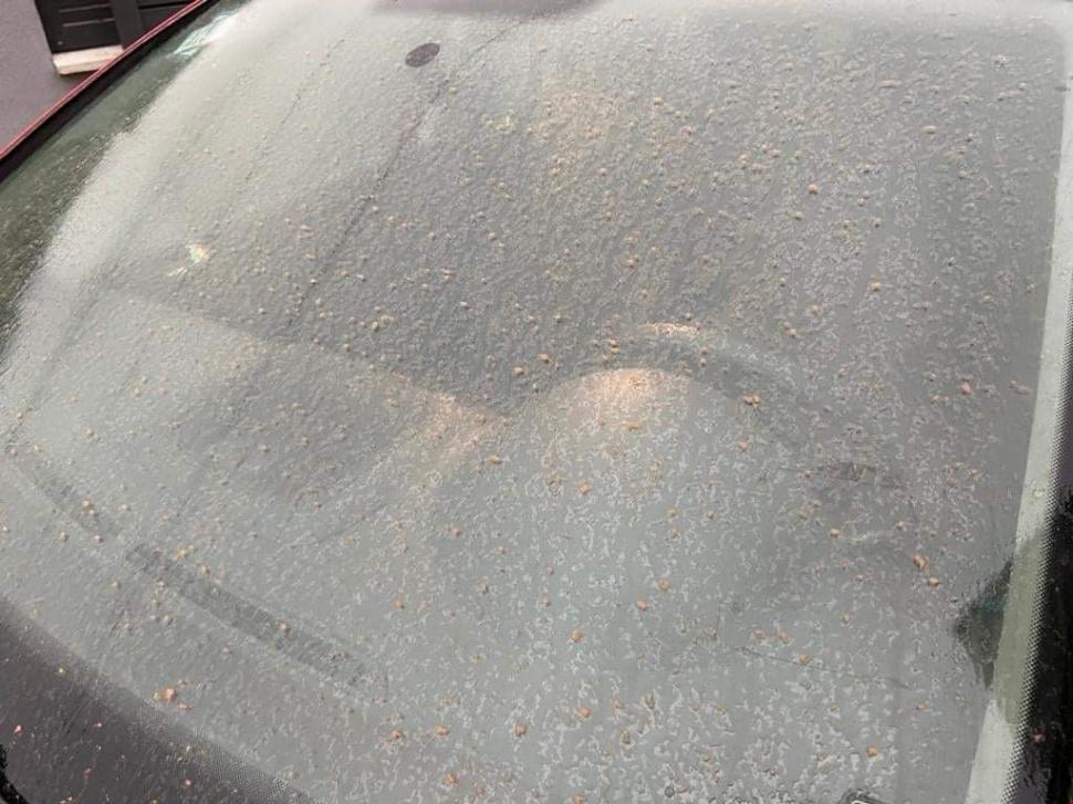 Nor de praf saharian în vestul României | Maşini şi clădiri, acoperite de praf în Timişoara 756520