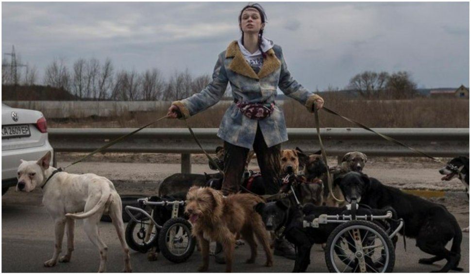 Femeia ucraineană care a salvat peste 20 de animale din Irpin, printre care câini cu dizabilități: ”Pentru mine sunt ca niște copii. Copiii nu sunt abandonați”