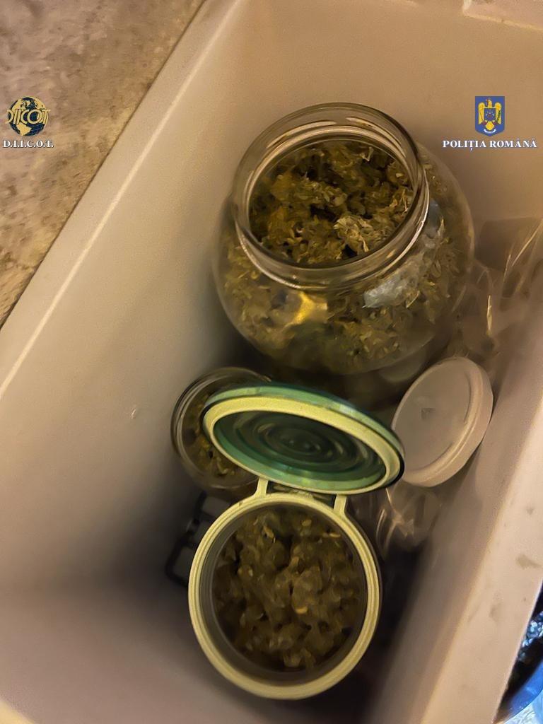 Un bucureștean și-a creat propria cultură de canabis, acasă. Avea toate facilitățile 756988