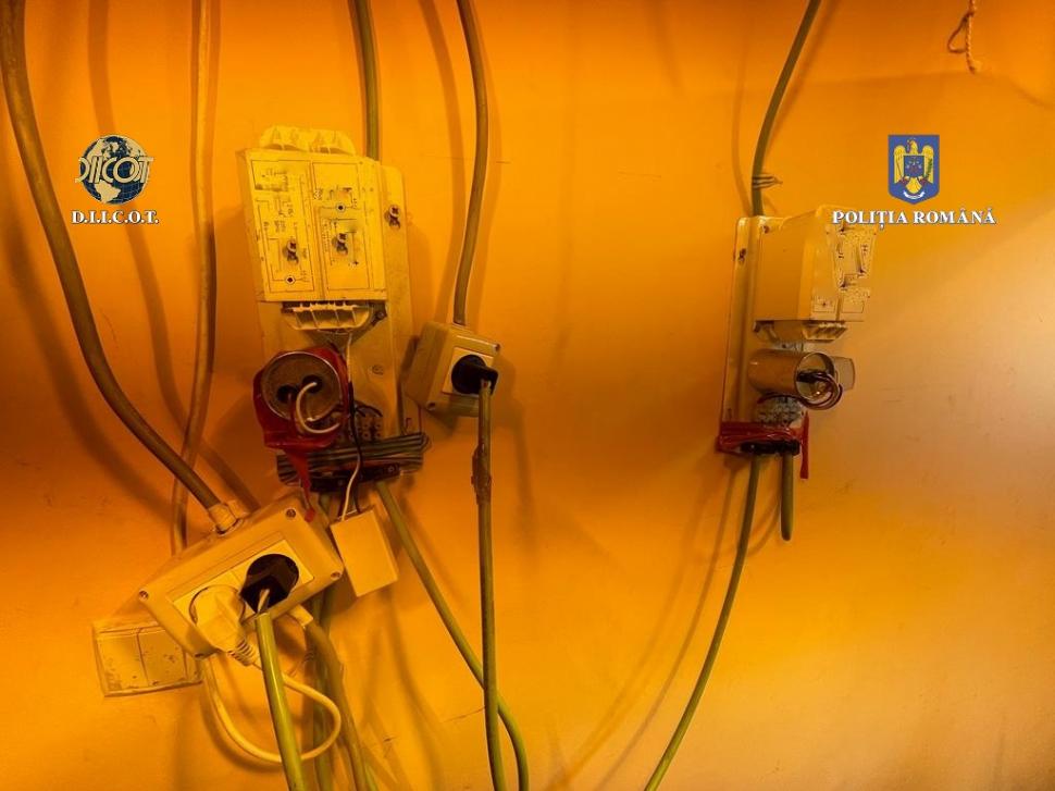 Un bucureștean și-a creat propria cultură de canabis, acasă. Avea toate facilitățile 756990