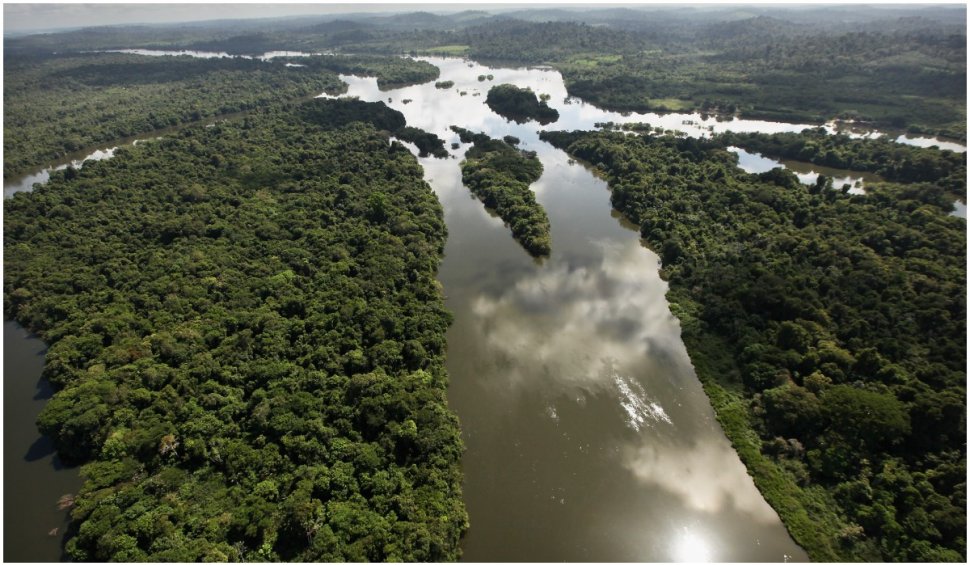 Doi copii s-au rătăcit în Jungla Amazoniană și au fost găsiți în viață o lună mai târziu