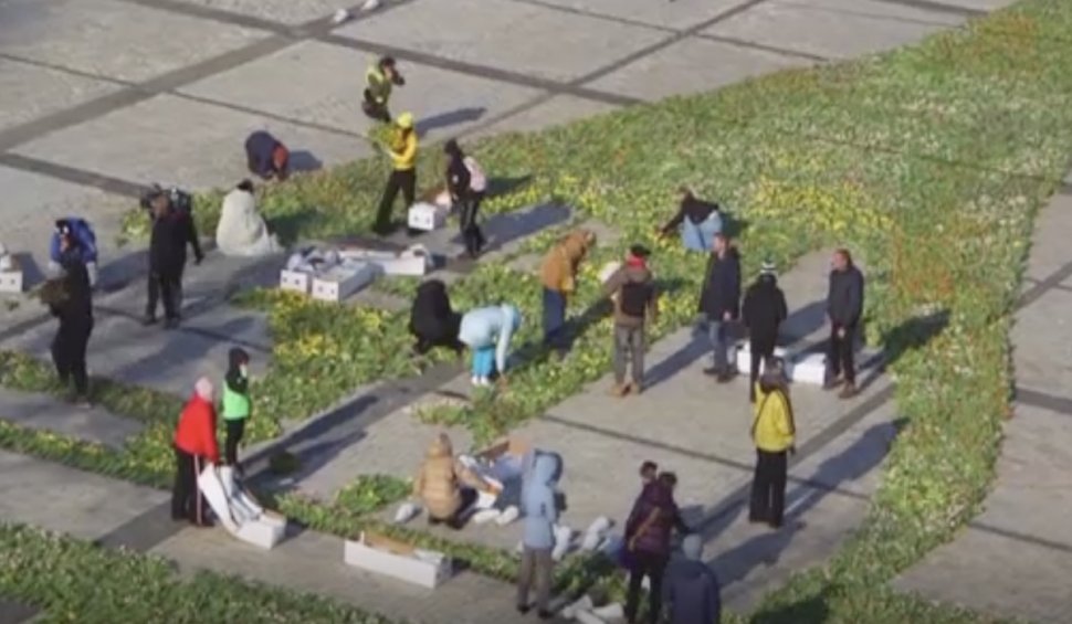 Milioane de lalele, așezate în piața din Kiev. Florile formează un trident, simbolul Ucrainei