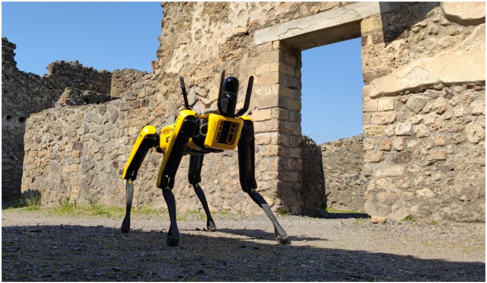 Un câine robot, chemat să monitorizeze starea lucrărilor și siguranța sitului arheologic Pompei
