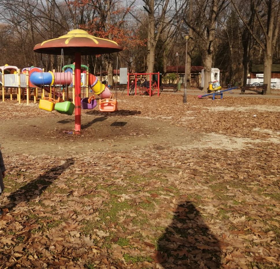 ANPC a controlat cele mai mari trei parcuri din București. 15 locuri de joacă au fost închise 758790