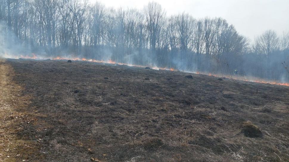 Incendiu puternic de vegetaţie în judeţul Prahova. Autorităţile au emis mesaj Ro-Alert  758784