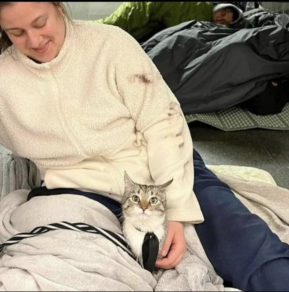 Pisicile, aliați de nădejde pentru soldații ucraineni în vreme de război. Cum își arată felinele susținerea 759584