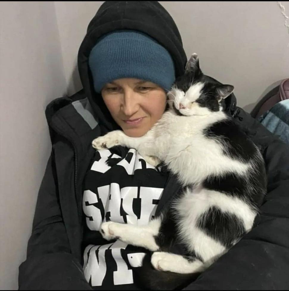 Pisicile, aliați de nădejde pentru soldații ucraineni în vreme de război. Cum își arată felinele susținerea 759585