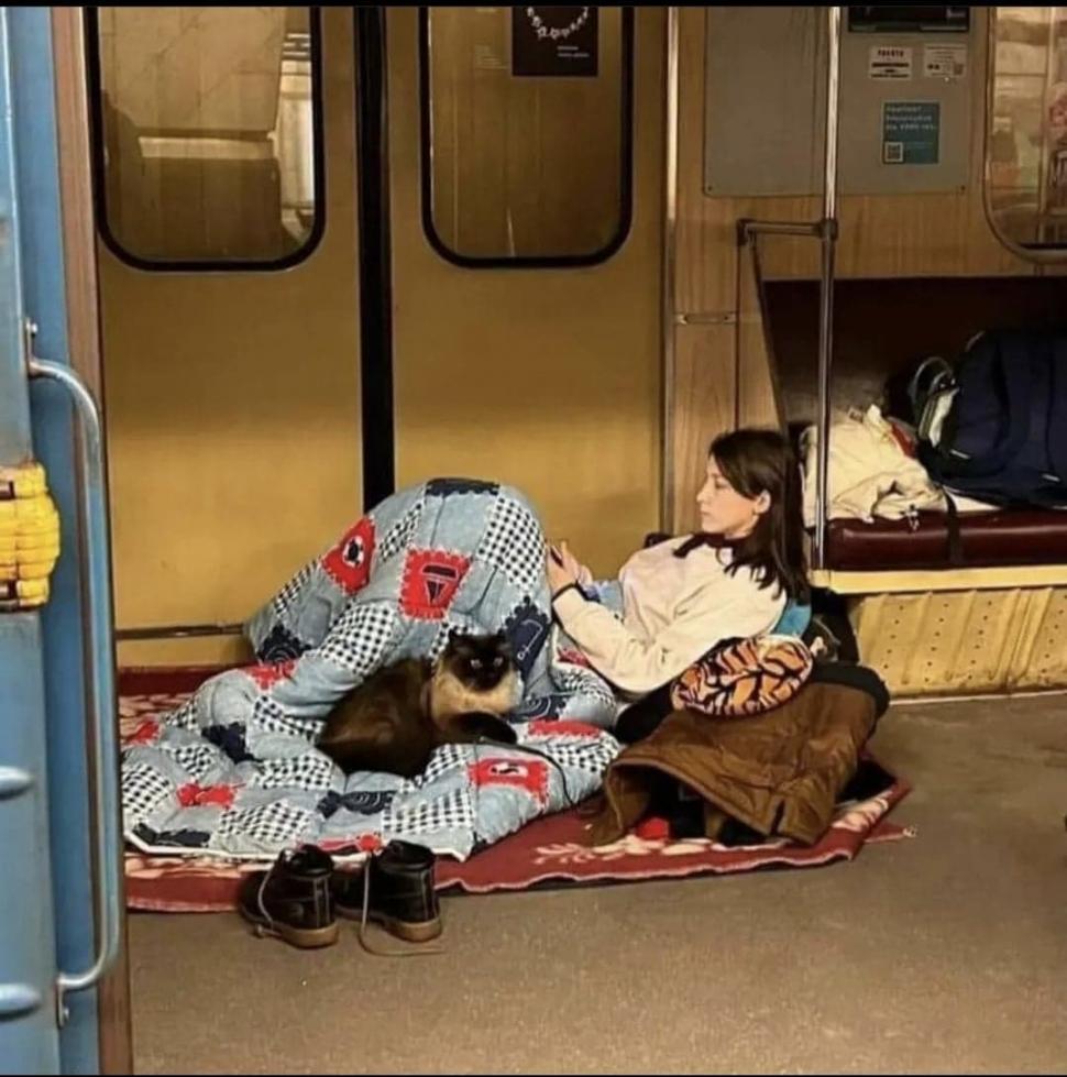 Pisicile, aliați de nădejde pentru soldații ucraineni în vreme de război. Cum își arată felinele susținerea 759587