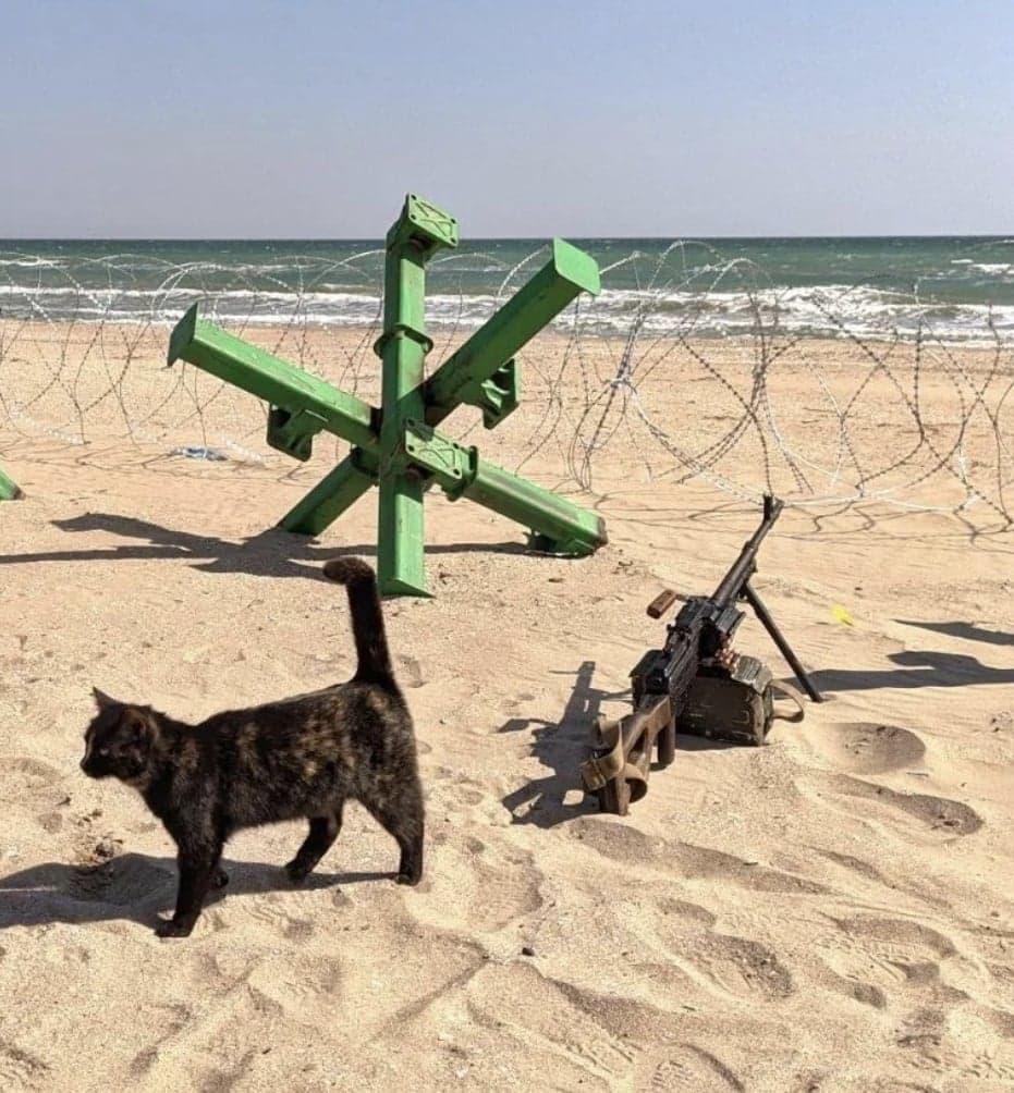 Pisicile, aliați de nădejde pentru soldații ucraineni în vreme de război. Cum își arată felinele susținerea 759588