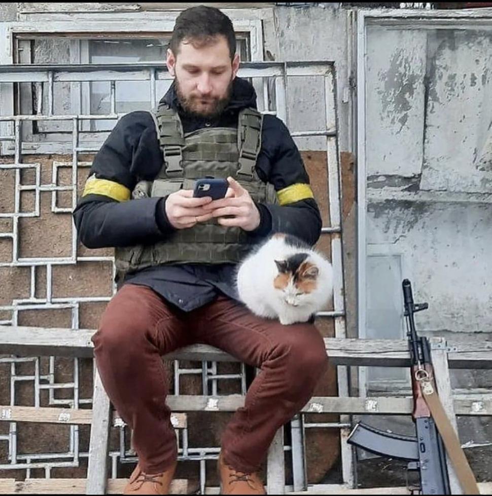 Pisicile, aliați de nădejde pentru soldații ucraineni în vreme de război. Cum își arată felinele susținerea 759589