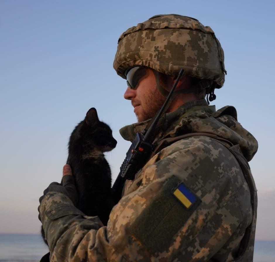 Pisicile, aliați de nădejde pentru soldații ucraineni în vreme de război. Cum își arată felinele susținerea 759593