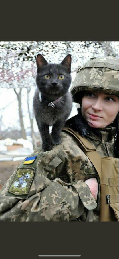 Pisicile, aliați de nădejde pentru soldații ucraineni în vreme de război. Cum își arată felinele susținerea 759594